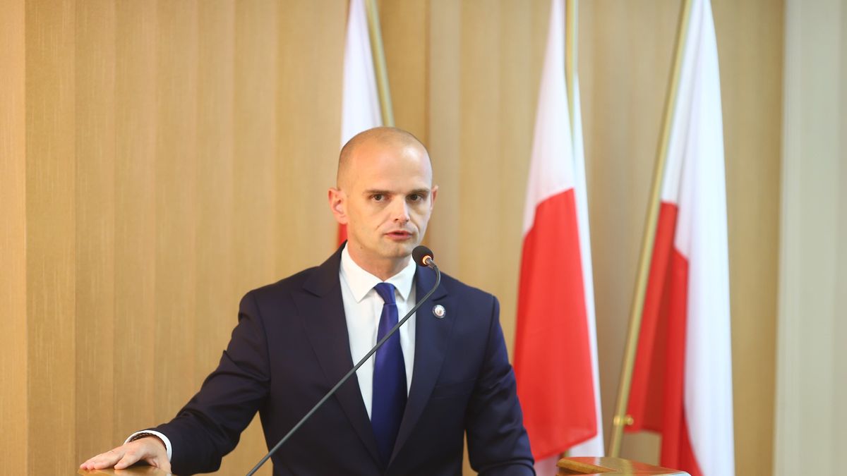Starosta Płocki 