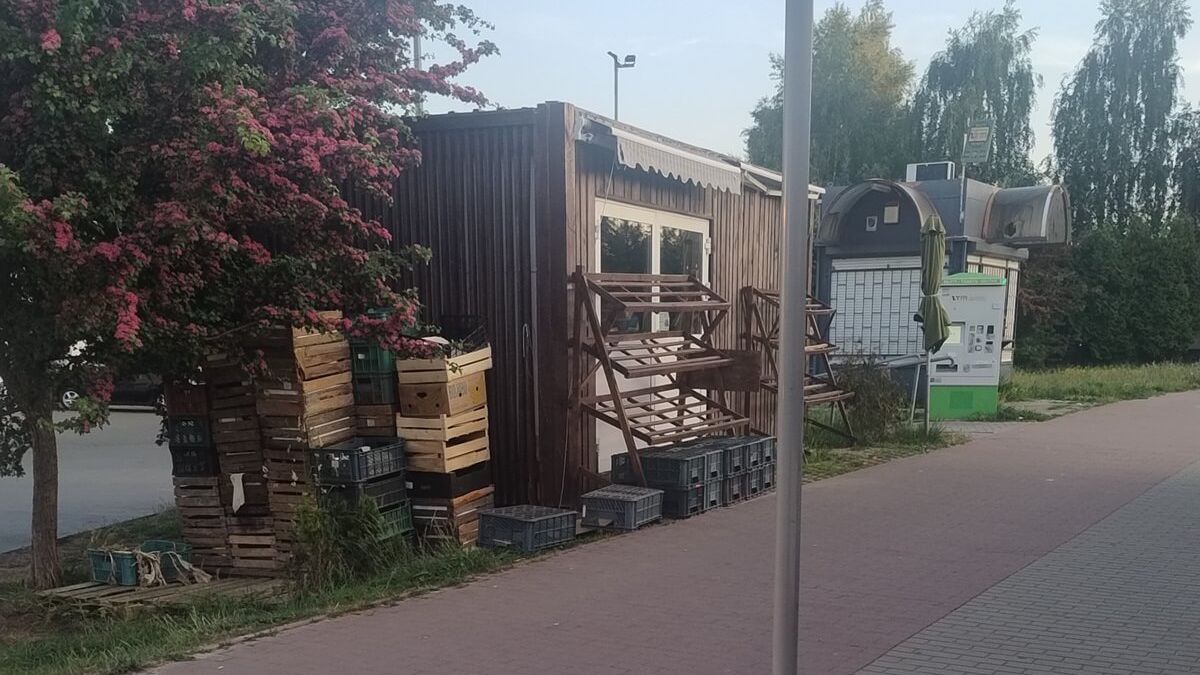 Warzywniak przy ścieżce rowerowej na ul. Doświadczalnej