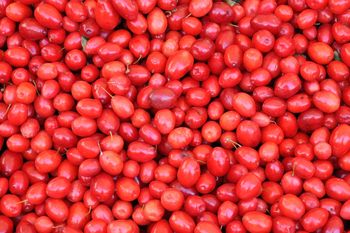 Zjesz cytrynę i pomyślisz, że to słodki deser. Ten owoc potrafi oszukać mózg