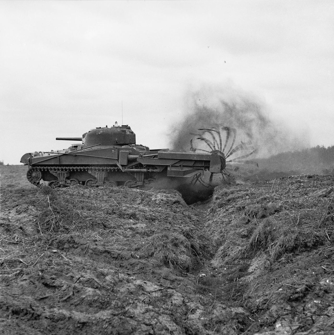 Sherman Crab podczas trałowania. Wieża czołgu jest zwrócona do tyłu