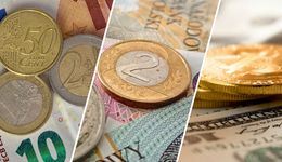 Co się dzieje z dolarem, złotym i euro?