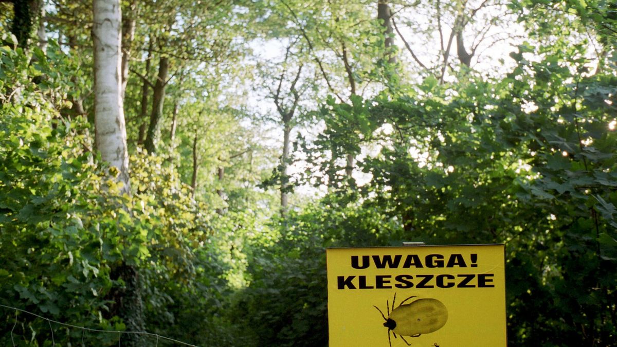Reporter Poland 2002
2002 Pomorze Zachodnie.n/z tabliczka ostrzegajaca turystow i wczasowiczow przed kleszczami. 
fot.Andrzej Iwanczuk/REPORTER
Iwanczuk/REPORTER