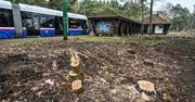 Bydgoszcz: Znikają drzewa na pętli w Lesie Gdańskim. Na początku 2026 r. ruszy rozbudowa