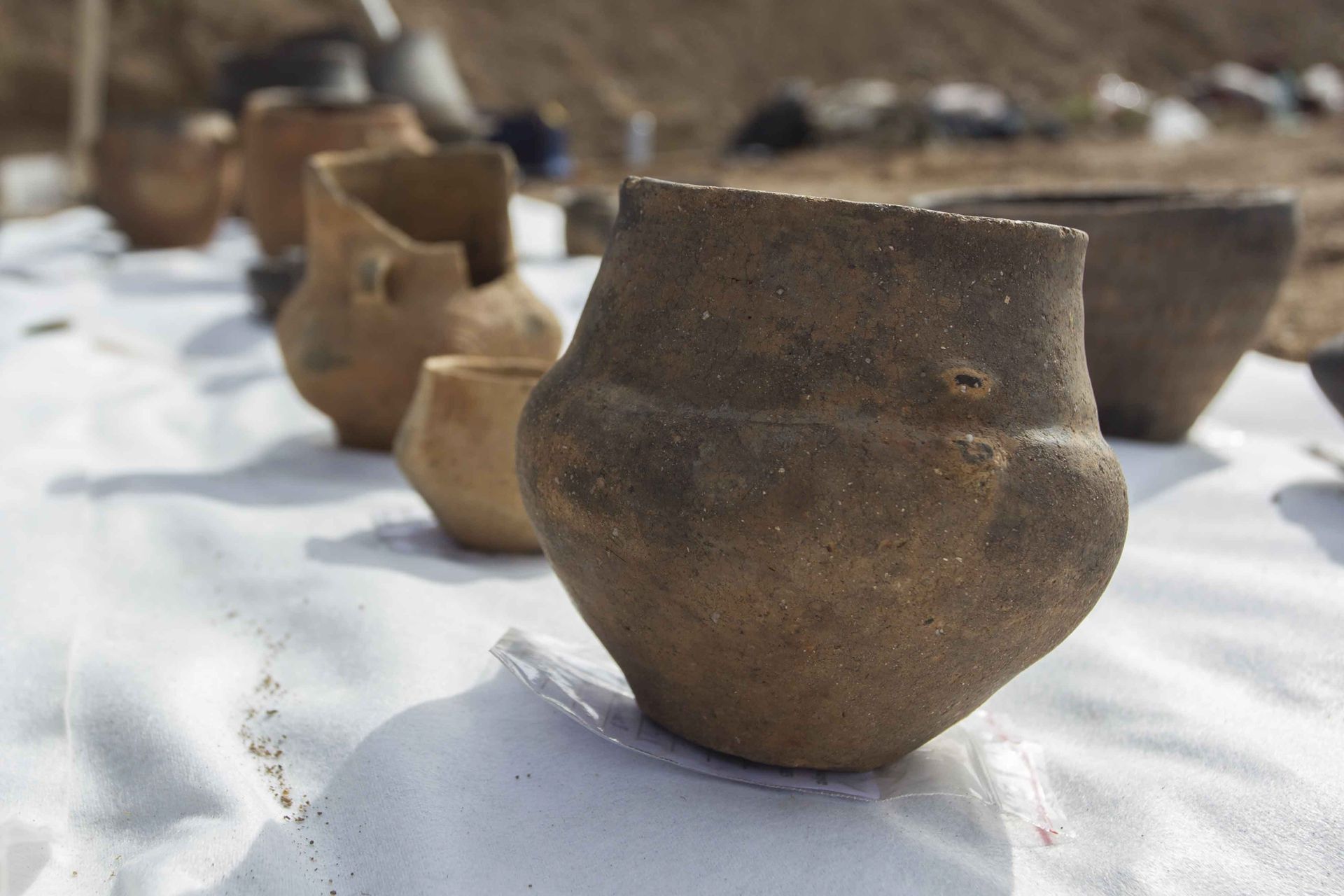 Piwo sprzed 4500 lat na Podlasiu: Sensacyjne odkrycie polskich naukowców
