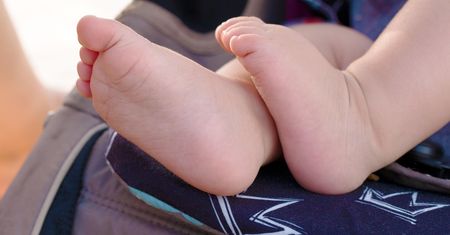 13 haseł o adopcji. Odgadniesz wszystkie?