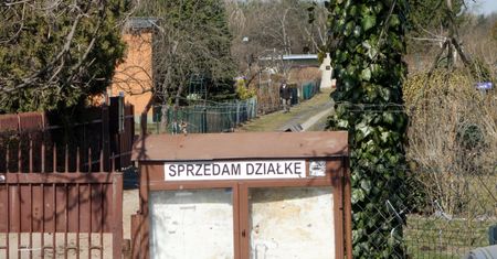 Makabryczne odkrycie na terenie ogródków działkowych