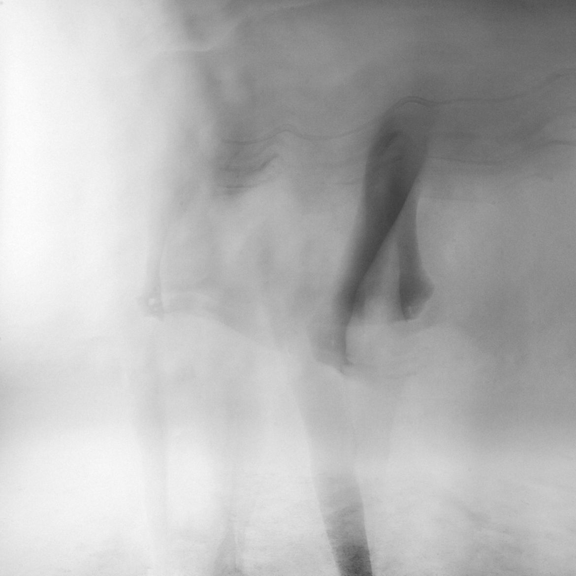 Polacy nagrodzeni w konkursie MonoVisions Photography Awards 2018 49