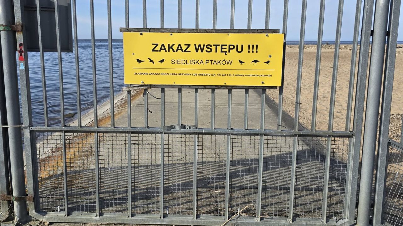 fot. NaMierzeje.pl / Grupa Badawcza "Kuling”  Posypały się mandaty
