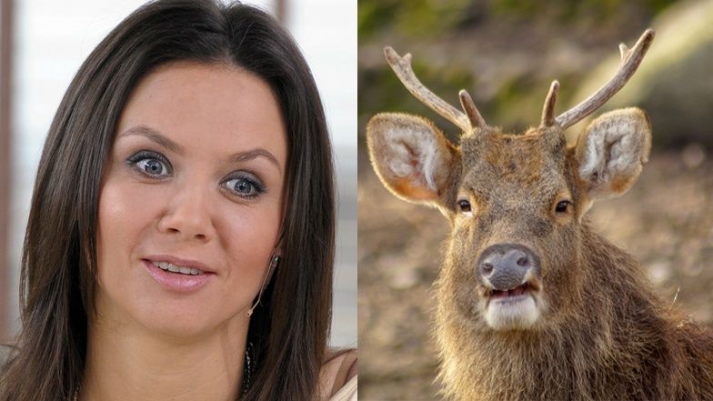 Kinga Rusin zachwala "maj na Rodos" 