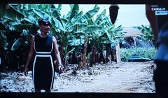 Stacja Canal+ Polska zmieni nazwę? "Rozważamy rebranding"