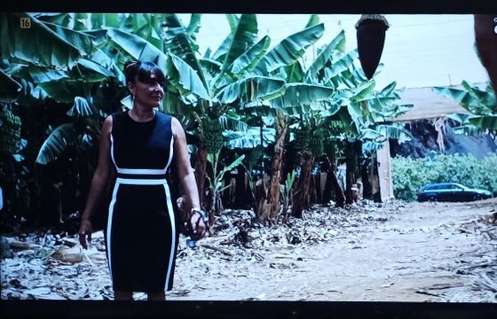 Stacja Canal+ Polska zmieni nazwę? "Rozważamy rebranding"