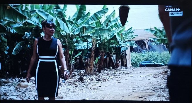 Stacja Canal+ Polska zmieni nazwę? "Rozważamy rebranding"