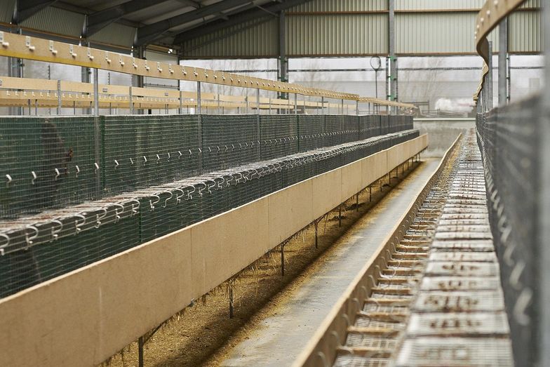 15 tys. koron duńskich mieli zarabiać Polacy w Danii. Zamiast tego byli obrażani i spali w busie