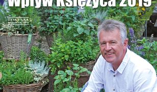 Wpływ księżyca 2019