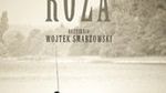 Plakat filmu 'Róża'
