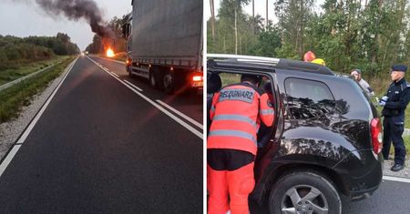 Samochód po zderzeniu z łosiem stanął w płomieniach
