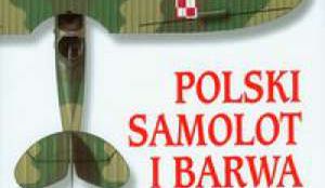 polski samolot.jpg