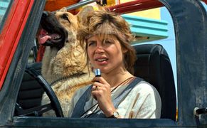 STOPKLATKA Terminator