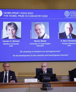 Nagroda Nobla z chemii. Za rozwój nowych metod syntezy