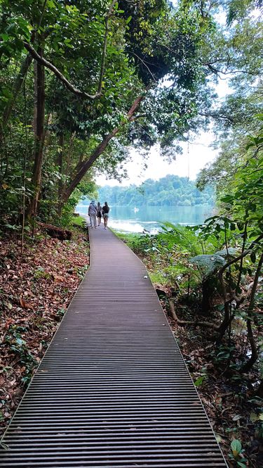 A walk in the reserve is very relaxing.