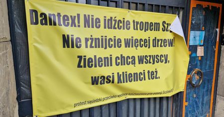 Deweloper chce wyciąć stare drzewo. Mieszkańcy protestują