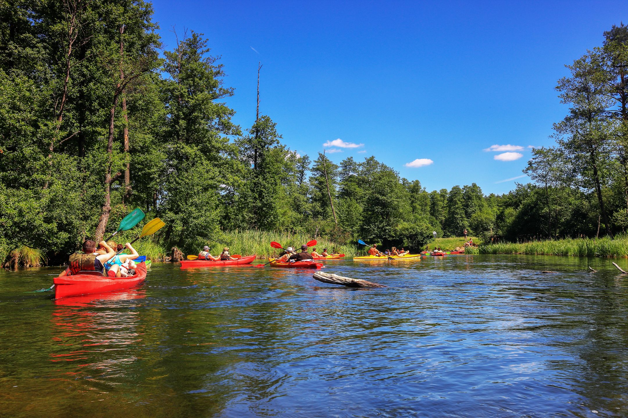 Kajakarze na Krutyni 