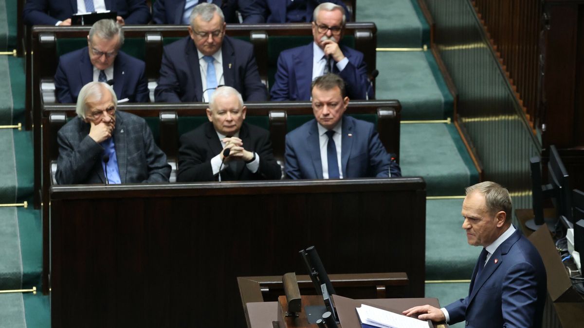 Politycy PiS i Donald Tusk