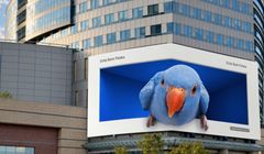 Papużka Erste Bank Polska w trójwymiarowej reklamie