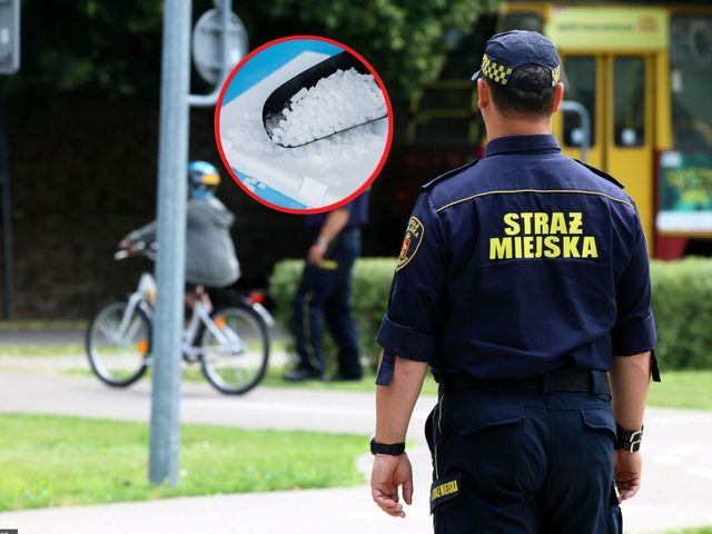 Interwencja straży miejskiej w Warszawie