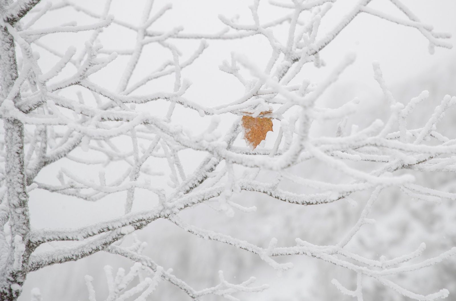 Śnieżyca w Hiszpanii