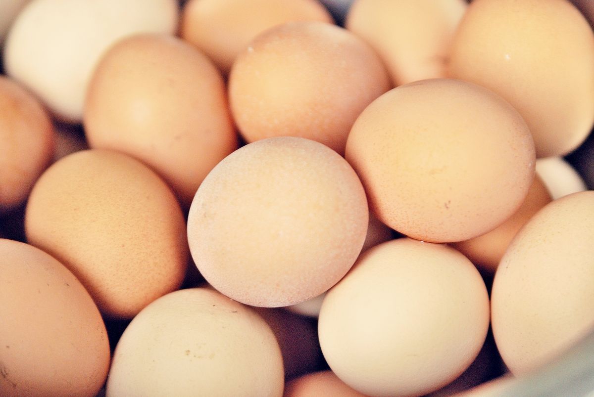 Rezygnacja z jaj z chowu klatkowego podjęta zbyt pochopnie? Tak wskazuje analiza