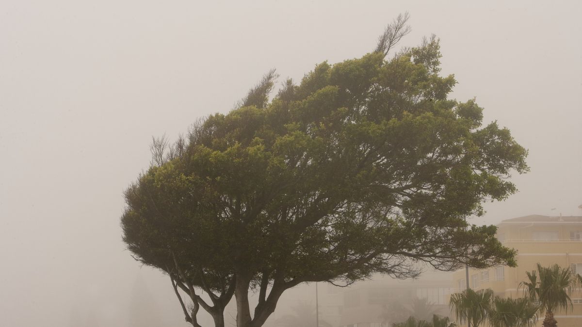 Zdjęcia ilustracyjne 