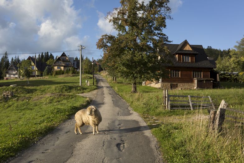 Abolicja dla górali. Na Podhalu wyrwano 600 miejsc noclegowych z szarej strefy