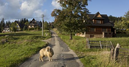 Abolicja dla górali. Na Podhalu wyrwano 600 miejsc noclegowych z szarej strefy