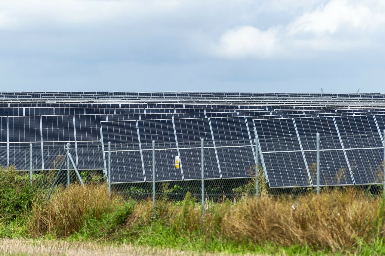 Masowo odmawiają przyłączeń OZE do sieci. Są nowe dane