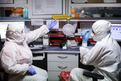 Koronawirus. 17 zakażeń po Big Boat Party na katamaranie. Sanepid zawiadomił prokuraturę