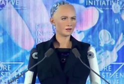 Pierwszy robot właśnie otrzymał obywatelstwo. Sophia ma szansę zastąpić człowieka