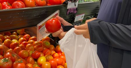 Widzisz takiego pomidora? W sklepie lepiej omijaj szerokim łukiem