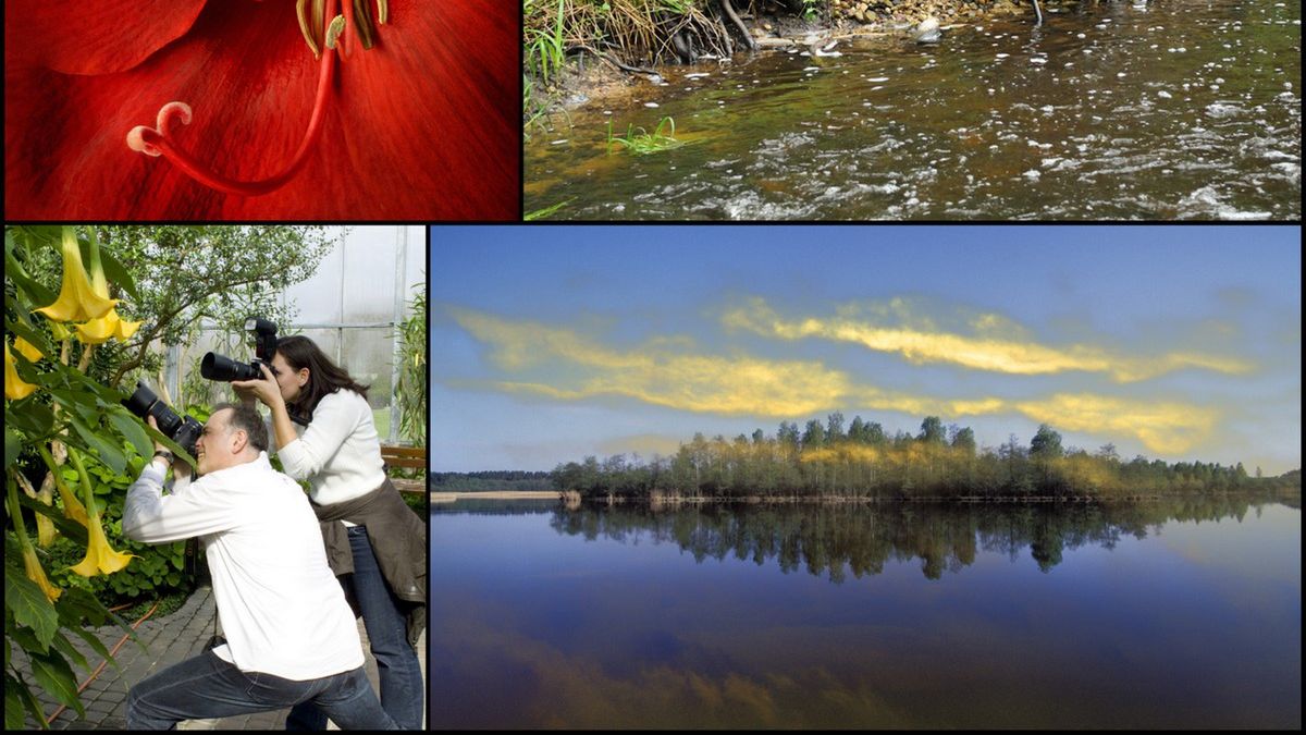 Kursy i warsztaty: lipiec w Akademii Nikona 1