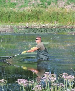 Zatruta Odra. Mają wyniki badań. Minister środowiska Brandenburgii potwierdza