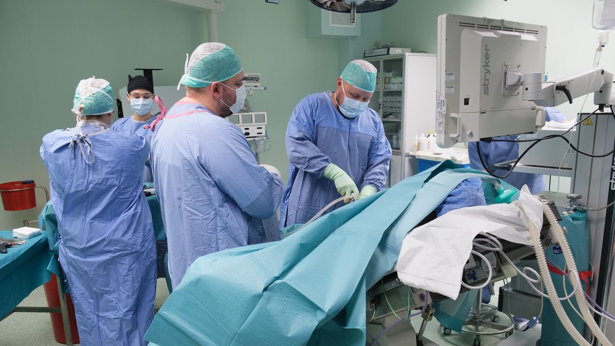 Ile zarabiają lekarze?