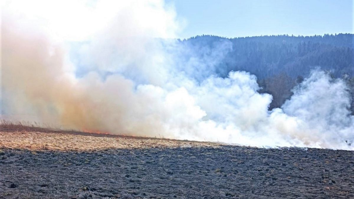 Wypalanie traw jest niebezpieczne