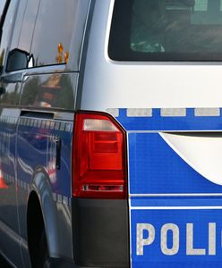 Śmiertelne potrącenie pieszego. Policja poszukuje świadków