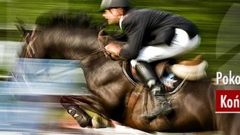 Plener Pokochaj Fotografię - Koński Świat 1