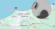 44-latek z zarzutami gwałtu w Kołobrzegu. Prokuratura wnioskuje o areszt