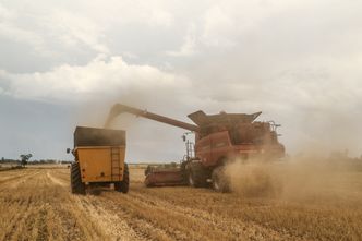 UE kupi ukraińskie zboże? "Wyślemy je potrzebującym na Bliskim Wschodzie"