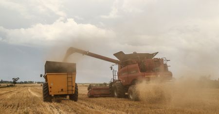 UE kupi ukraińskie zboże? "Wyślemy je potrzebującym na Bliskim Wschodzie"