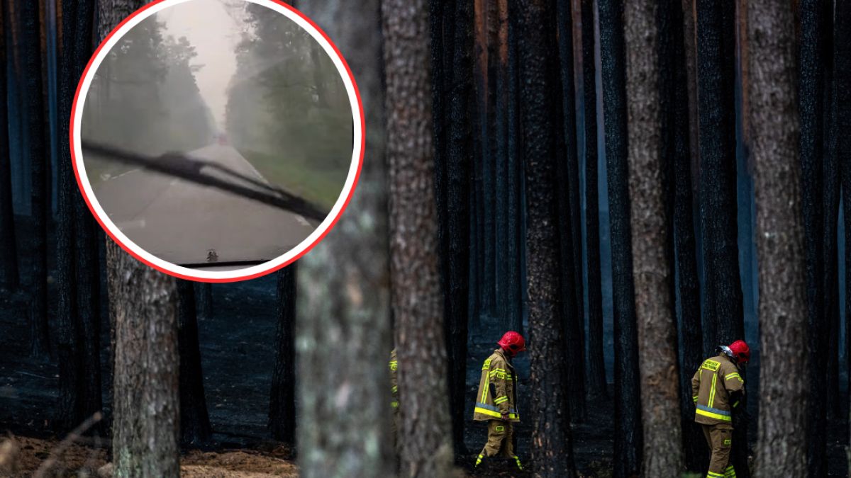 W czwartek, 7 maja, na miejscu pożaru zaczął padać deszcz