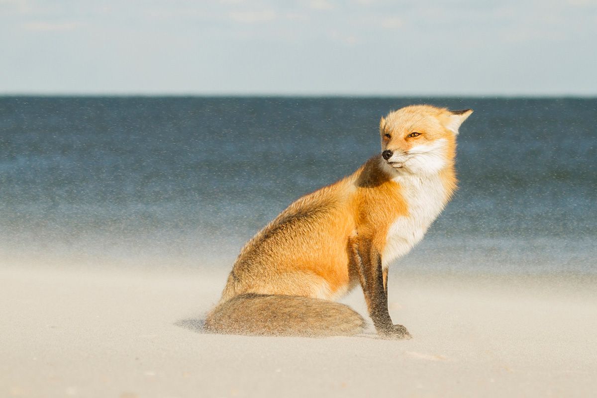 Najlepsze fotografie podróżnicze konkursu Travel Photographer of the Year 2016 wprawiają w zachwyt i inspirują 15