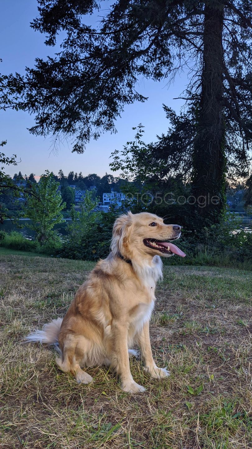 Google Pixel 4: wyciekają przykładowe zdjęcia i funkcje aparatu. Konkurencjo, szykuj się na fotopogrom 8